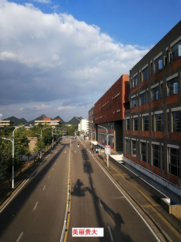 貴州某高校為本校區(qū)內(nèi)600多盞路燈更換LED燈頭及加裝太陽(yáng)能LORA調(diào)光控制模塊，達(dá)到了節(jié)能和智能控制的目的。